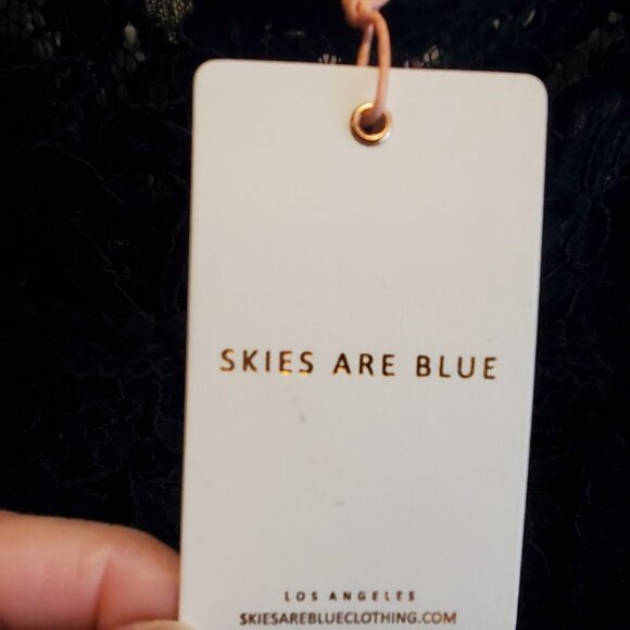 Skies Are Blue XL Black Lace Cocktail Dress - Picture 3 of 8